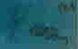 item-67271134=14