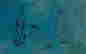 item-67271134=15