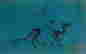 item-67271134=16