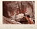 (3) A SET OF THREE CHINESE PHOTOS BY WU WEI - 3