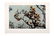 (3) A SET OF THREE CHINESE PHOTOS BY WU WEI - 4