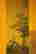 item-112211433=3
