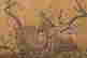 item-112213265=4