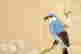 item-137140599=3