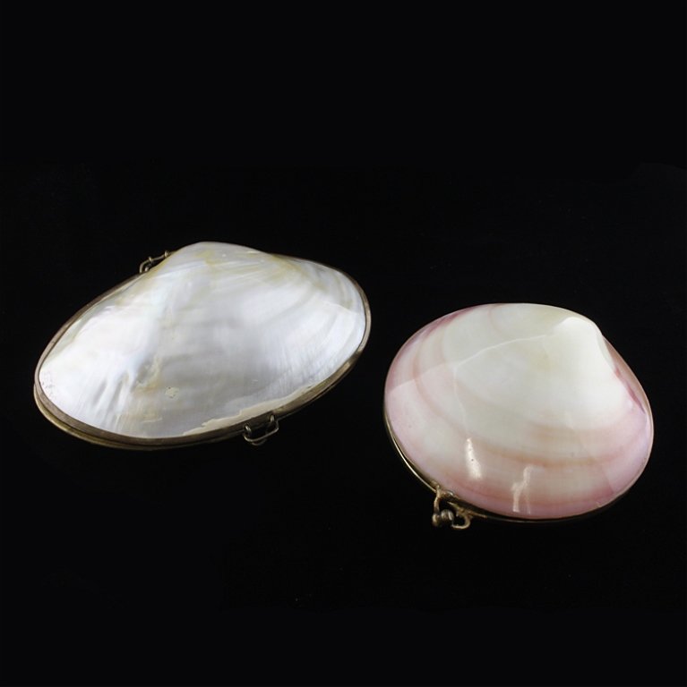 Set of Two Shell Coin Purse/ Pill Boxes: Est $ 40-60 Tiger Clam and pearlized river sea shell coin purse/ pill boxes. Hinged purses with some epoxy along edges. The tiger clam purse measure 3" wide by 1 1/2" tall and the pearlized river sea 