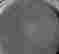 item-42090403=4