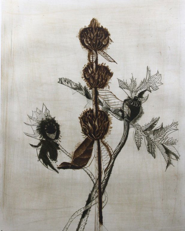 Brigitte Coudrain Signed Etching (1 of 5)