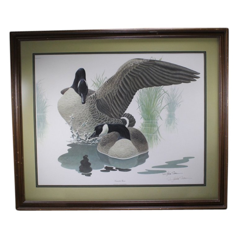 Large Canada Geese Print