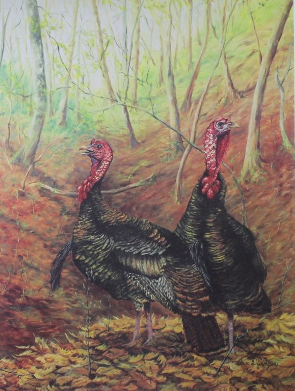Wild Turkey Print 2: Est. $ 10 - 15 Wild Turkey Print 2. A signed, numbered, limited edition print by artist Ann Dysinger depicting a pair of "Alert Gobblers" in a woodland setting print measures 15 X 20inches and is numb