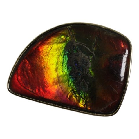 Ammolite Brooch in 14k Gold (1 of 3)