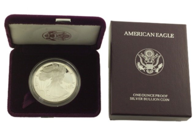 1989 S Silver American Eagle One Ounce Proof Coin (1 of 1)
