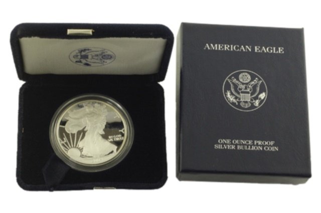 2004 W Silver American Eagle One Ounce Proof Coin (1 of 1)