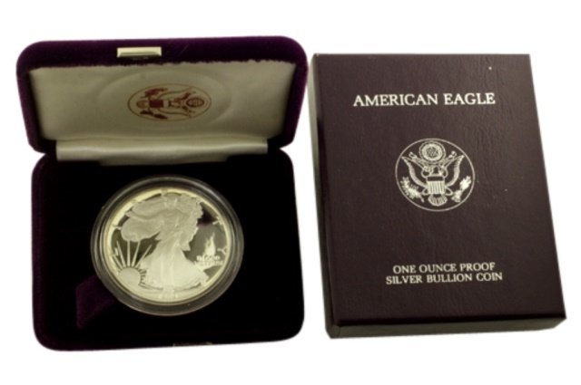 1989 S Silver American Eagle One Ounce Proof Coin (1 of 1)