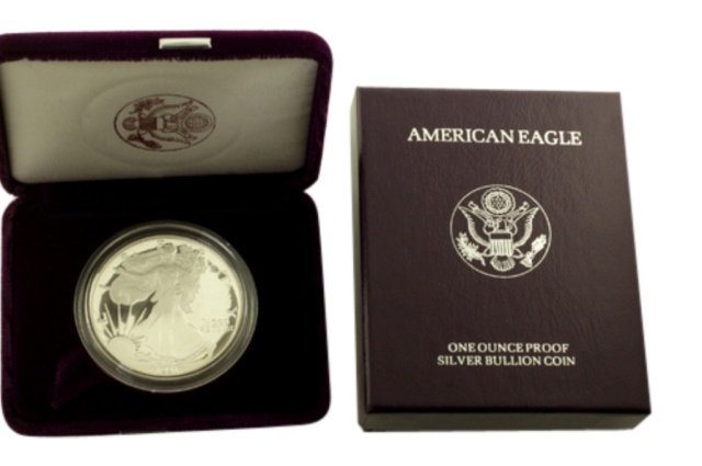 1991 S Silver American Eagle One Ounce Proof Coin (1 of 1)