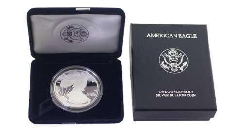 1996 P Silver American Eagle One Ounce Proof Coin (1 of 1)