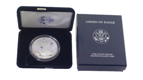 2004 W Siler American Eagle One Ounce Proof Coin (1 of 1)