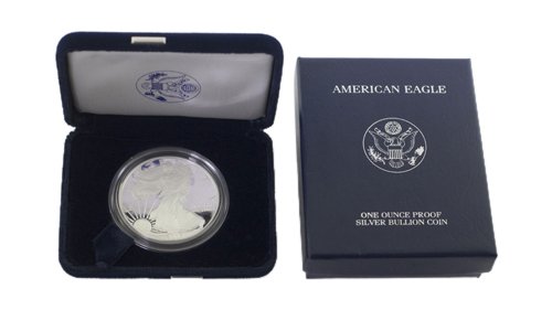 2005 W Silver American Eagle One Ounce Proof Coin (1 of 1)