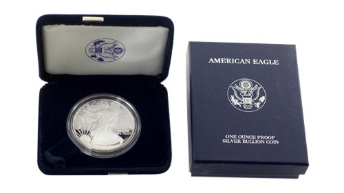 2007 W Silver American Eagle One Ounce Proof Coin (1 of 1)