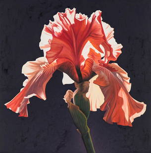 Ed Mell 'Scarlet Iris': Ed Mell (American, b. 1942) 'Scarlet Iris' 1997 Oil on canvas ; 40 x 40 (in) Signed Ed Mell, lower right Framed in original Ed Mell signature frame Signed, dated and titled, versoProvenance: 