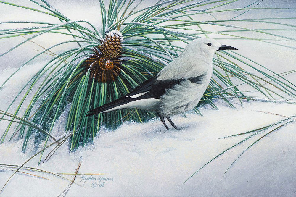 Stephen Lyman Handsome (1 of 3)