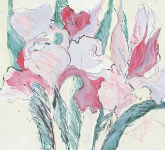 Sally Anderson Iris: Sally Anderson (American, 1942) Iris Lithograph ed. 32 of 100 Signed in pencil S. Anderson, lower right