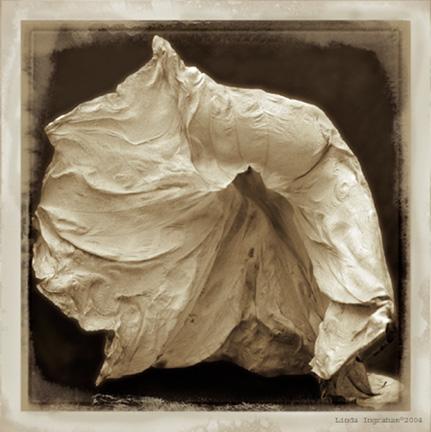 Linda Ingraham Datura II (1 of 1)