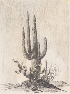 Jack Van Ryder Saguaro, Tucson, Arizona, 1957: Jack Van Ryder (American, 1899-1967) Saguaro, Tucson, Arizona, 1957 Charcoal on paper 12.25 x 9.25 (in) 18.75 x 15.625 x 0.875 (in) framed Signed Jack Van Ryder, lower right Dated, lower right.