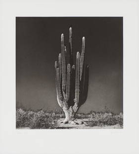 Graciela Iturbide Centinela, 1999: Graciela Iturbide (Mexican, b. 1942) Centinela, 1999 Photogravure on Somerset Satin White paper ed. 20 of 20 33.125 x 30.75 (in) 35.25 x 32.5 x 0.75 (in) framed Signed in pencil Graciela Iturbide,