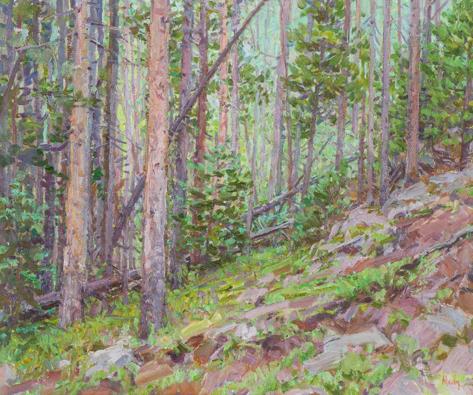 Mark Daily Forest Landscape: Mark Daily (American, b. 1944) Forest Landscape Oil on canvas 20 x 24 (in) 26.25 x 30.5 x 2 (in) framed Signed Daily, lower right