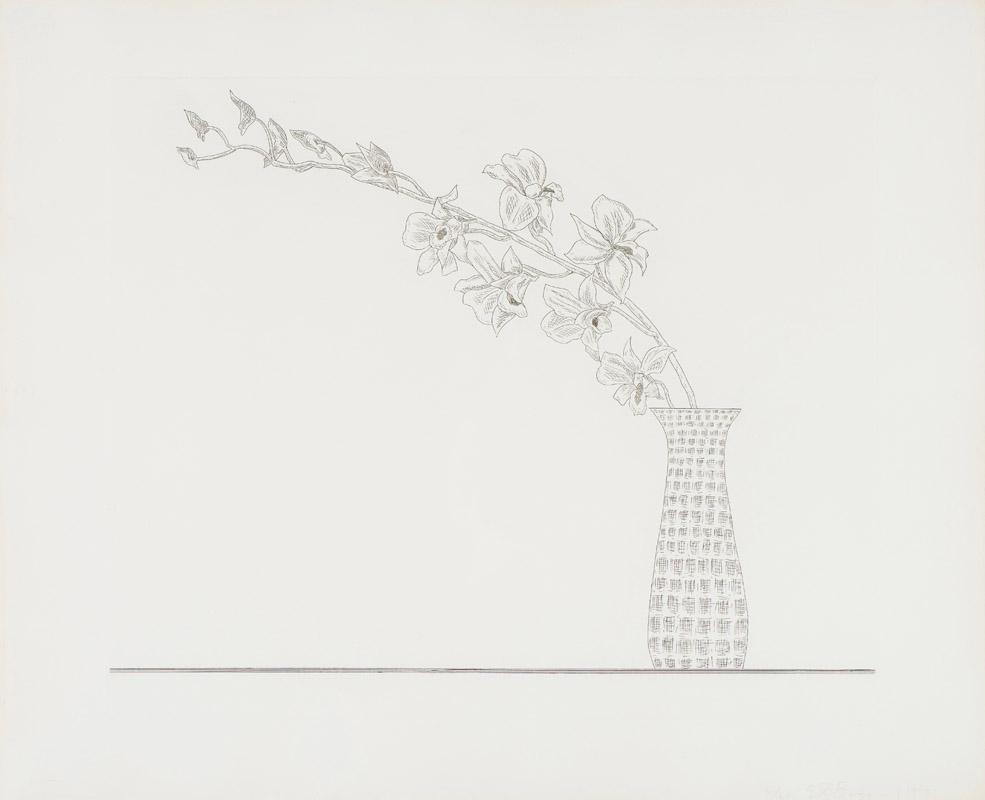 Ed Baynard Untitled, from the Flowers Portfolio, 1979: Ed Baynard (American, 1940-2016) Untitled, from the Flowers Portfolio, 1979 Etching on T.H. Saunders paper ed. 2 of 24 18.75 x 23 (in) 20.375 x 24.625 x 1.25 (in) framed Signed and dated in pencil Ed