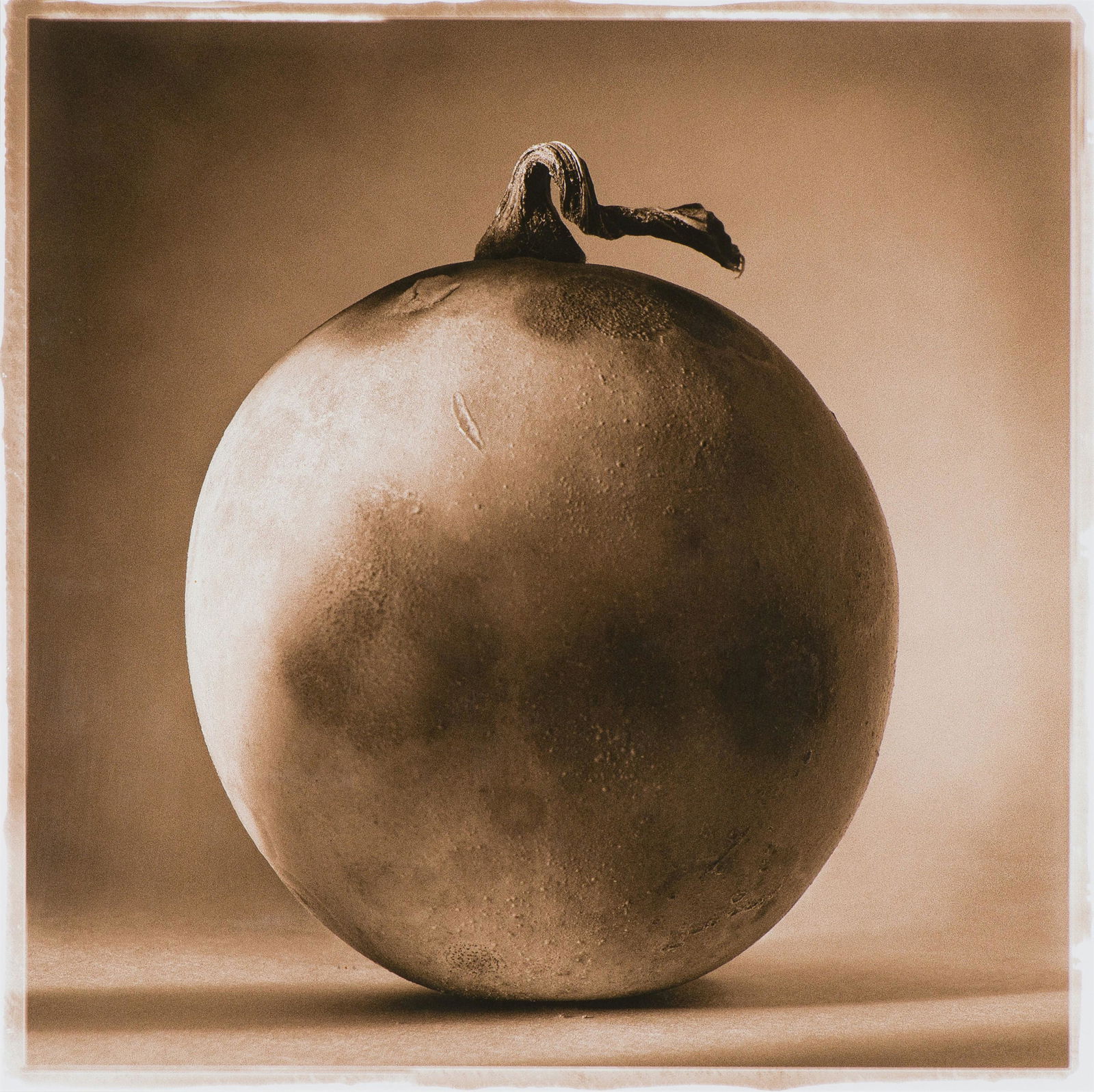 Linda Ingraham Gourd Study #1, 2007 (1 of 2)