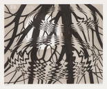 M.C. Escher Rippled Surface (B. 367), 1950