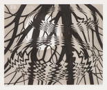 M.C. Escher Rippled Surface (B. 367), 1950