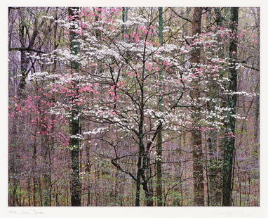 Christopher Burkett Pink and White Dogwoods, 1991: Christopher Burkett (American, b. 1951) Pink and White Dogwoods, 1991 Cibachrome print in exhibition mat in red paper portfolio 11 x 14 (in) 17.75 x 20 (in) red portfolio case size Signed in pencil Ch