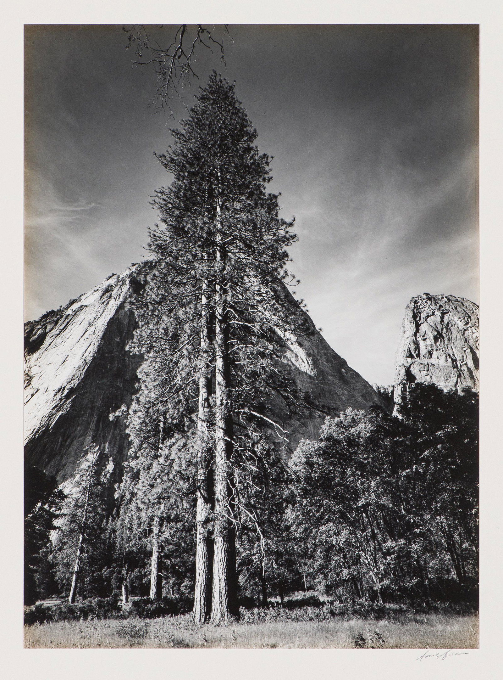 Ansel Adams Trees and Cliffs, 1954, printed 1959 (1 of 5)