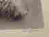 item-136503662=5