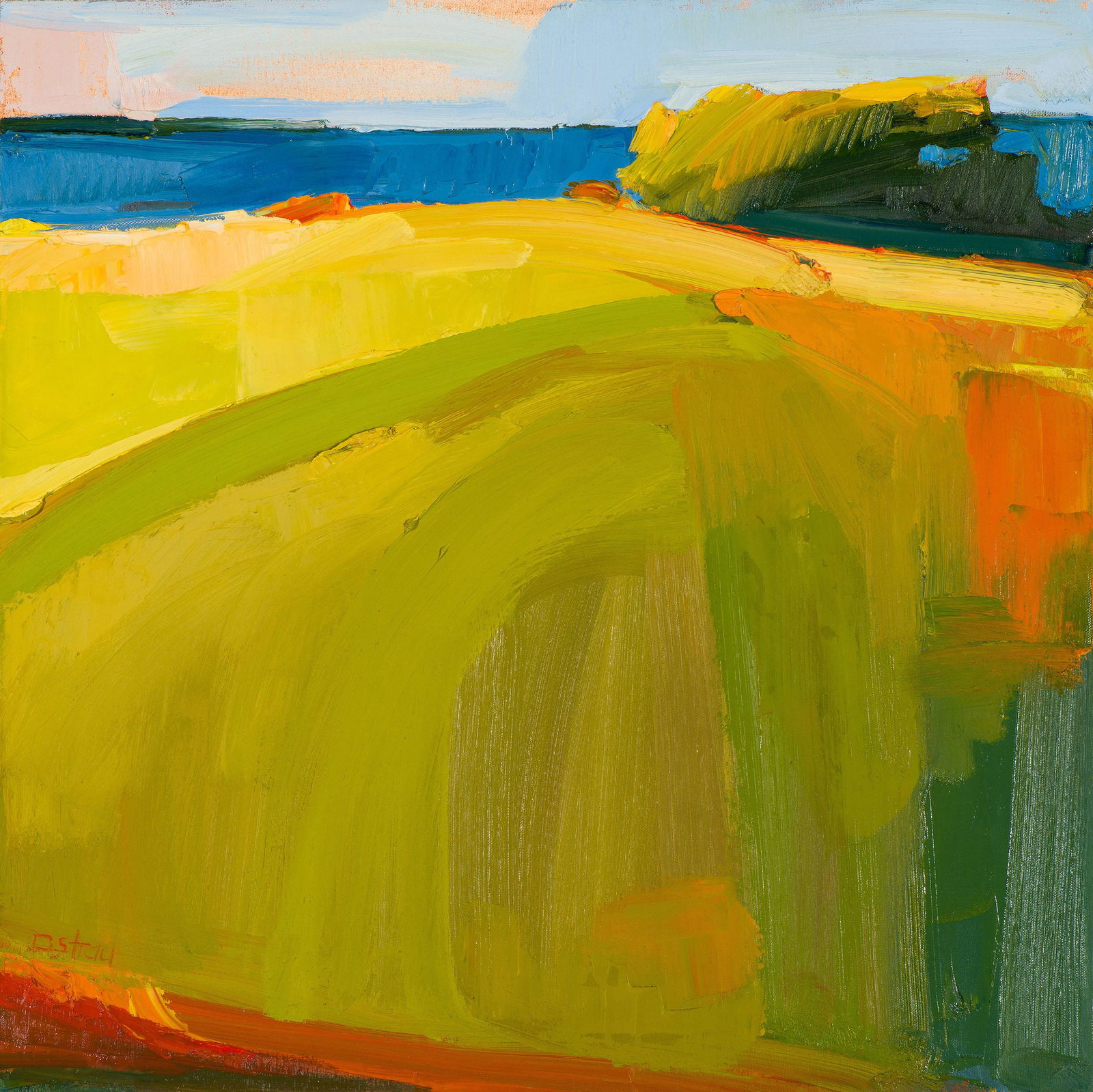 Sandy Ostrau Sea Beyond Spring Meadow, 2008 (1 of 3)