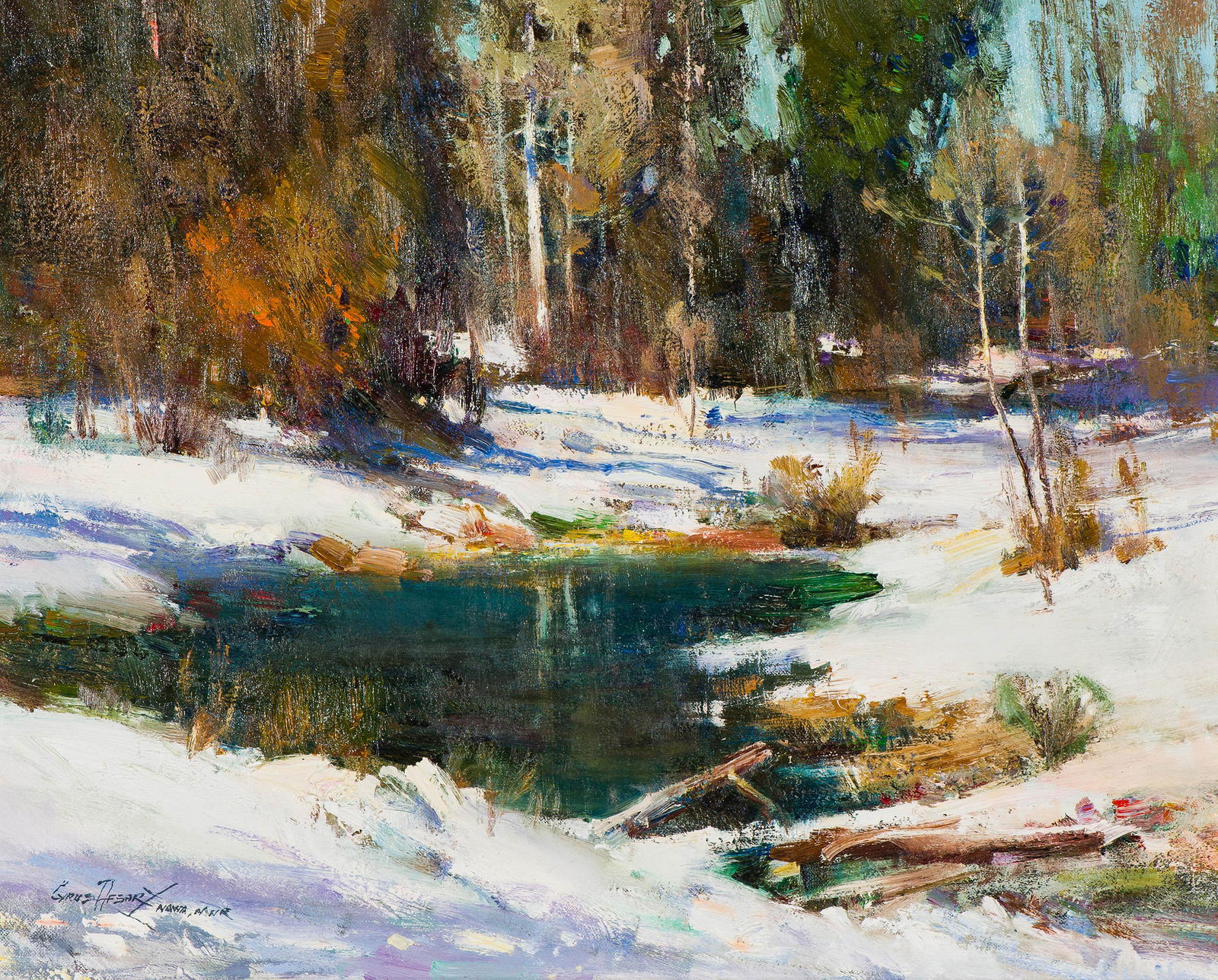 Cyrus Afsary Winter Pond (1 of 2)