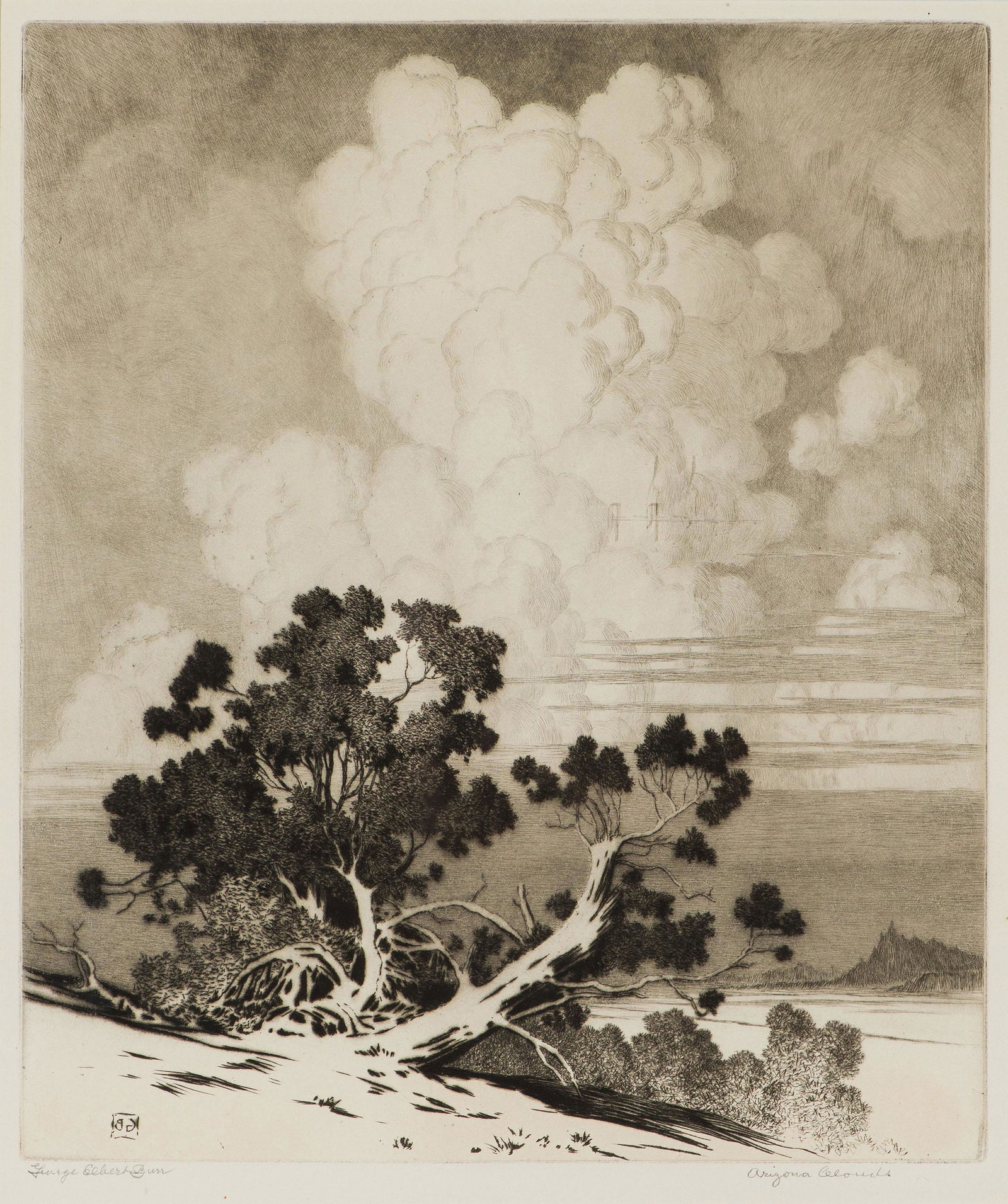 George Elbert Burr Arizona Clouds, 1933 (1 of 2)