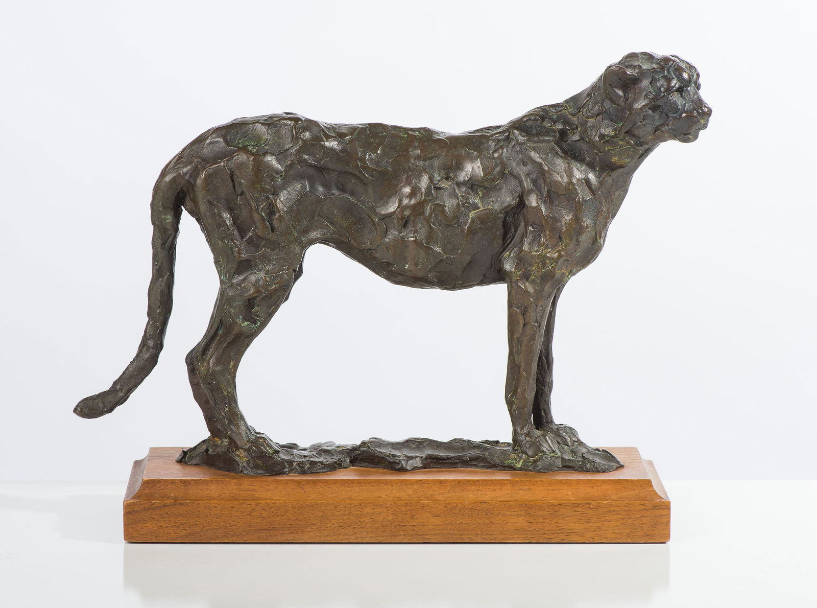 Kenneth Bunn Standing Cheetah (1 of 2)
