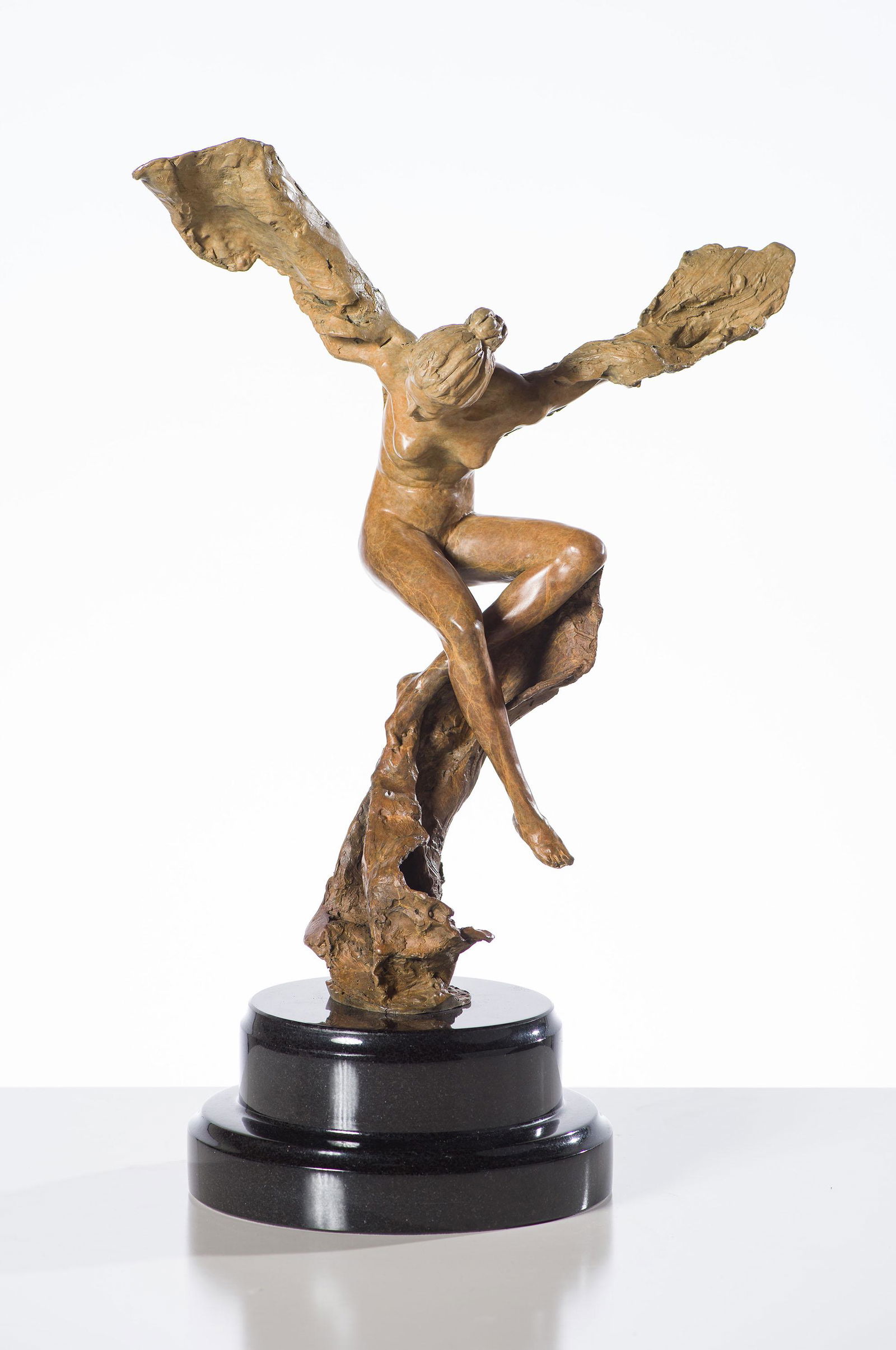 Nguyen Tuan Metamorphosis, 2009 (1 of 3)