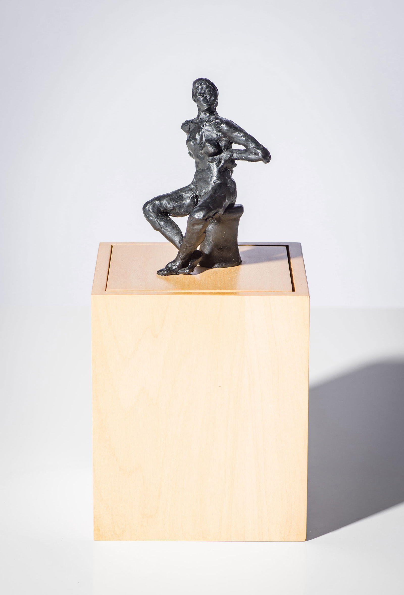 Robert Graham Untitled, 2005 (1 of 2)