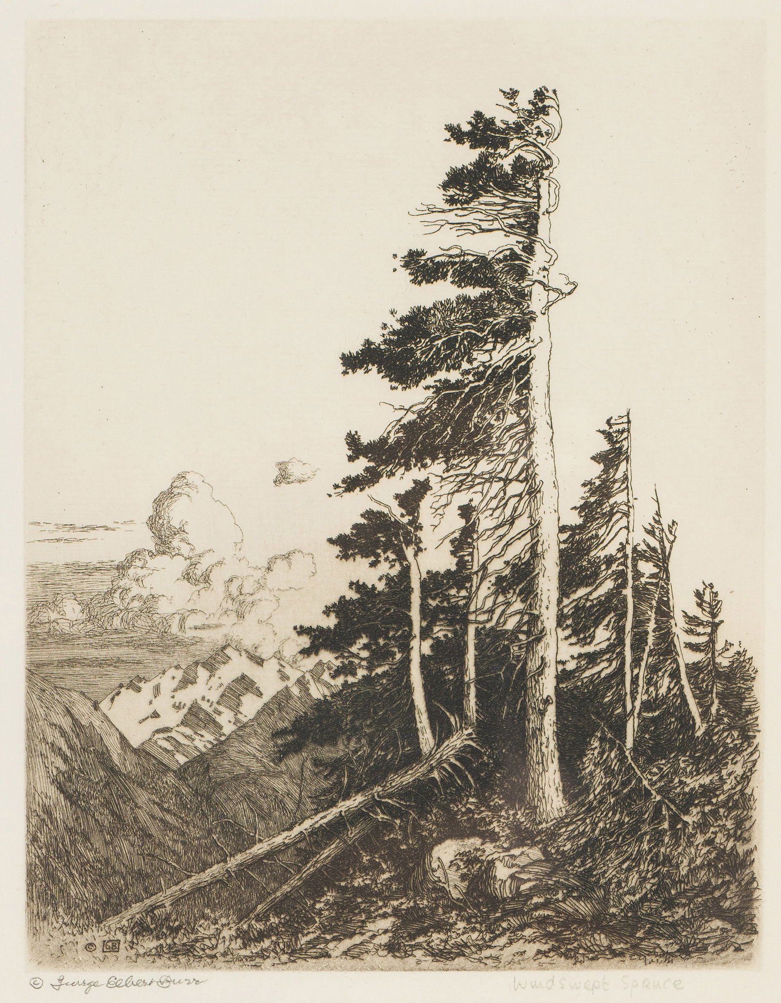 George Elbert Burr Windswept Spruces (S. 131), 1917 (1 of 2)