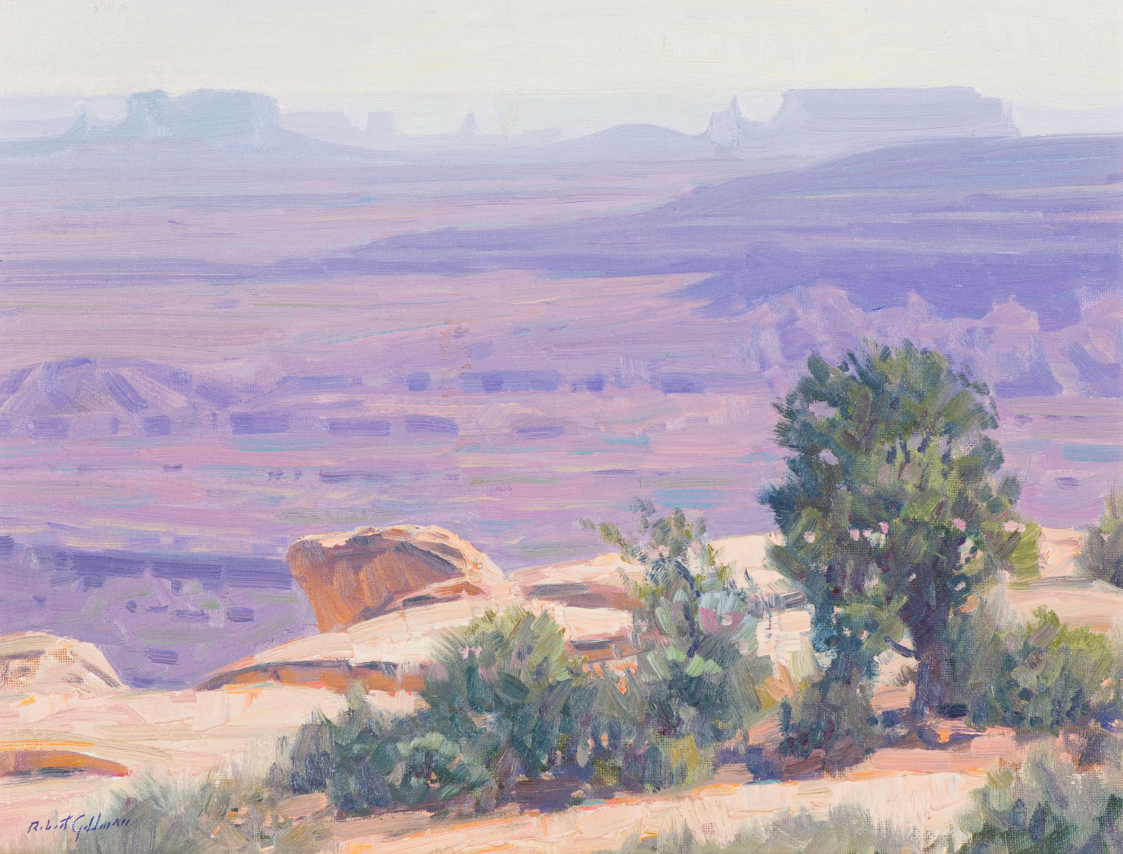 Robert Goldman Monument Valley View, 2007 (1 of 3)