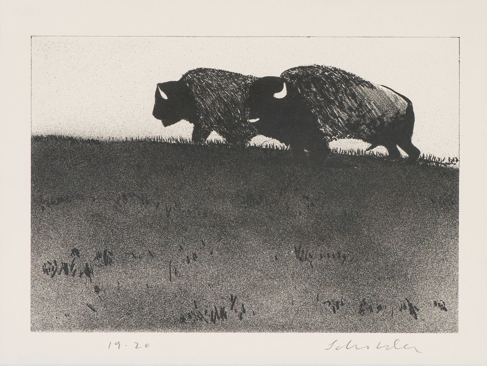 Fritz Scholder Buffalo and Mate (Second State) (T: 73-250), 1973 (1 of 2)