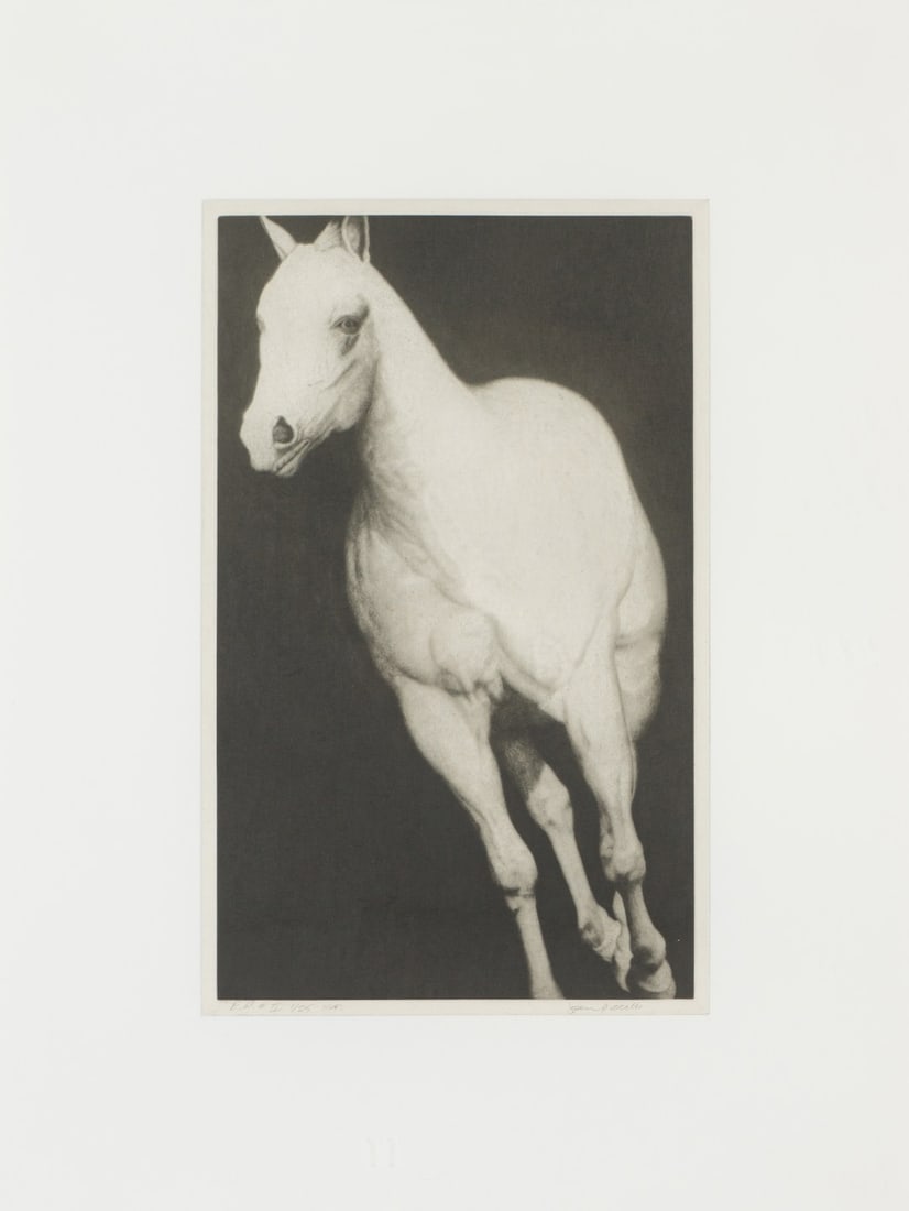 Joseph Piccillo E.P. #II, 1993 (1 of 2)