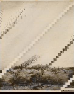 Mark Klett Desert Citizens, No. 43: Mark Klett (American, b. 1952) Desert Citizens, No. 43 Photogravure on tissue mounted on mat board ed. 15 of 40 19.25 x 15 (in) 27 x 22 x 1.5 (in) Framed Signed in pencil Mark Klett, lower right "