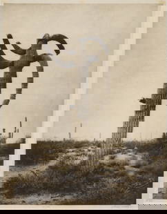 Mark Klett Desert Citizens, No. 45: Mark Klett (American, b. 1952) Desert Citizens, No. 45 Photogravure on tissue mounted on mat board ed. 15 of 40 19.25 x 15 (in) 27 x 22 x 1.5 (in) Framed Signed in pencil Mark Klett, lower right "