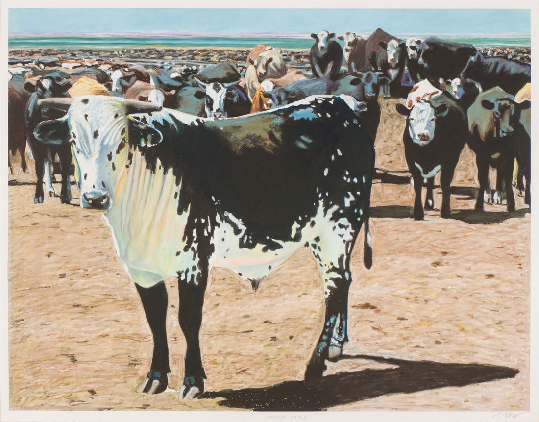 Don Coen Foxley's Cattle, 1997 (1 of 5)