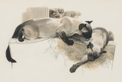 Bob Kuhn Seal Point and Blue Point Siamese Cats